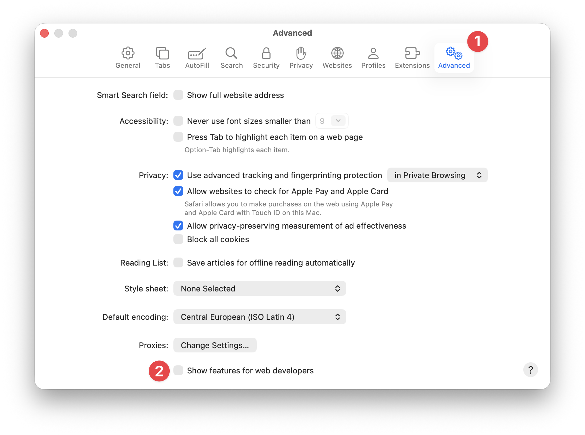 Safari Advanced Settings